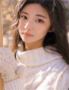 《宠物岛第2季》