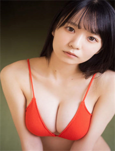 《安家电视剧在线观看》