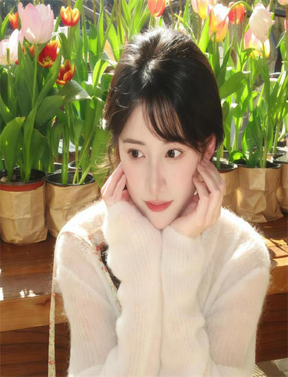 《百家讲坛：大明嘉靖往事》色彩运用解析：色调选择与情绪表达分析